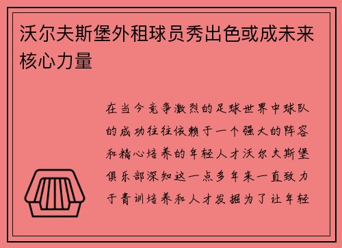 沃尔夫斯堡外租球员秀出色或成未来核心力量