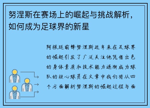 努涅斯在赛场上的崛起与挑战解析，如何成为足球界的新星