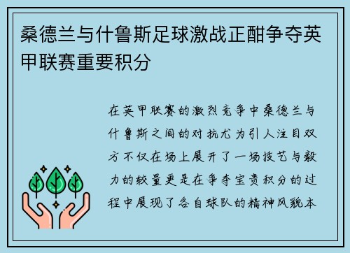 桑德兰与什鲁斯足球激战正酣争夺英甲联赛重要积分